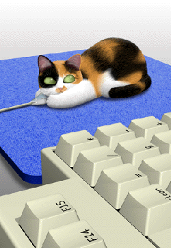 mouse