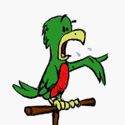 bird