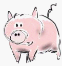 pig
