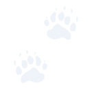 paws